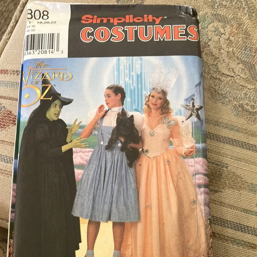 Simplicity costume pattern